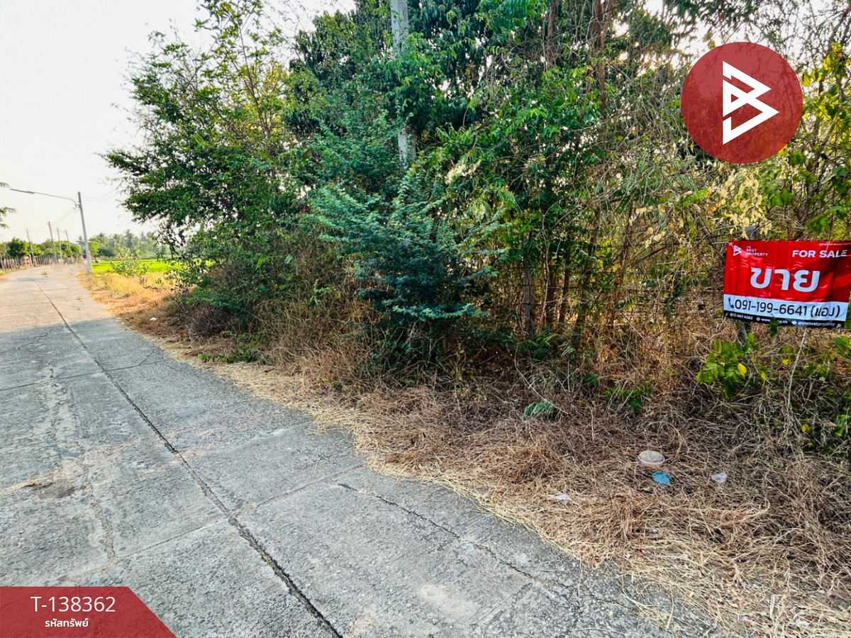 ขายที่ดิน เนื้อที่ 2 งาน โพธาราม ราชบุรี