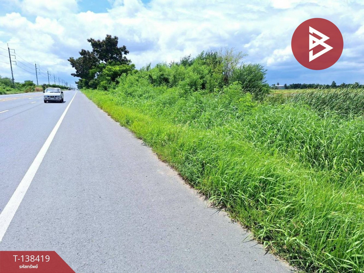 ขายที่ดิน เนื้อที่ 4 ไร่ โคกโคเฒ่า สุพรรณบุรี