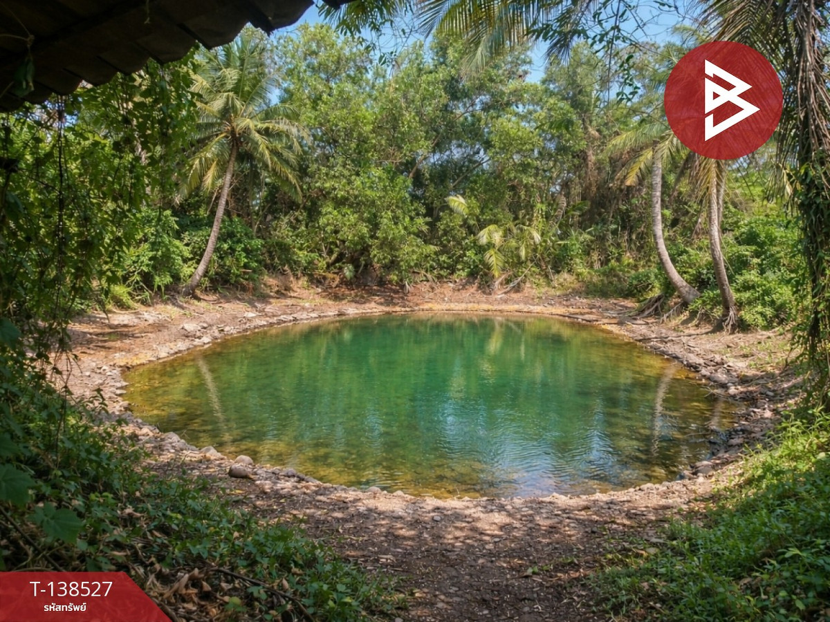 ขายบ้านเดี่ยว เนื้อที่ 1 งาน 91 ตร.วา แกลง ระยอง