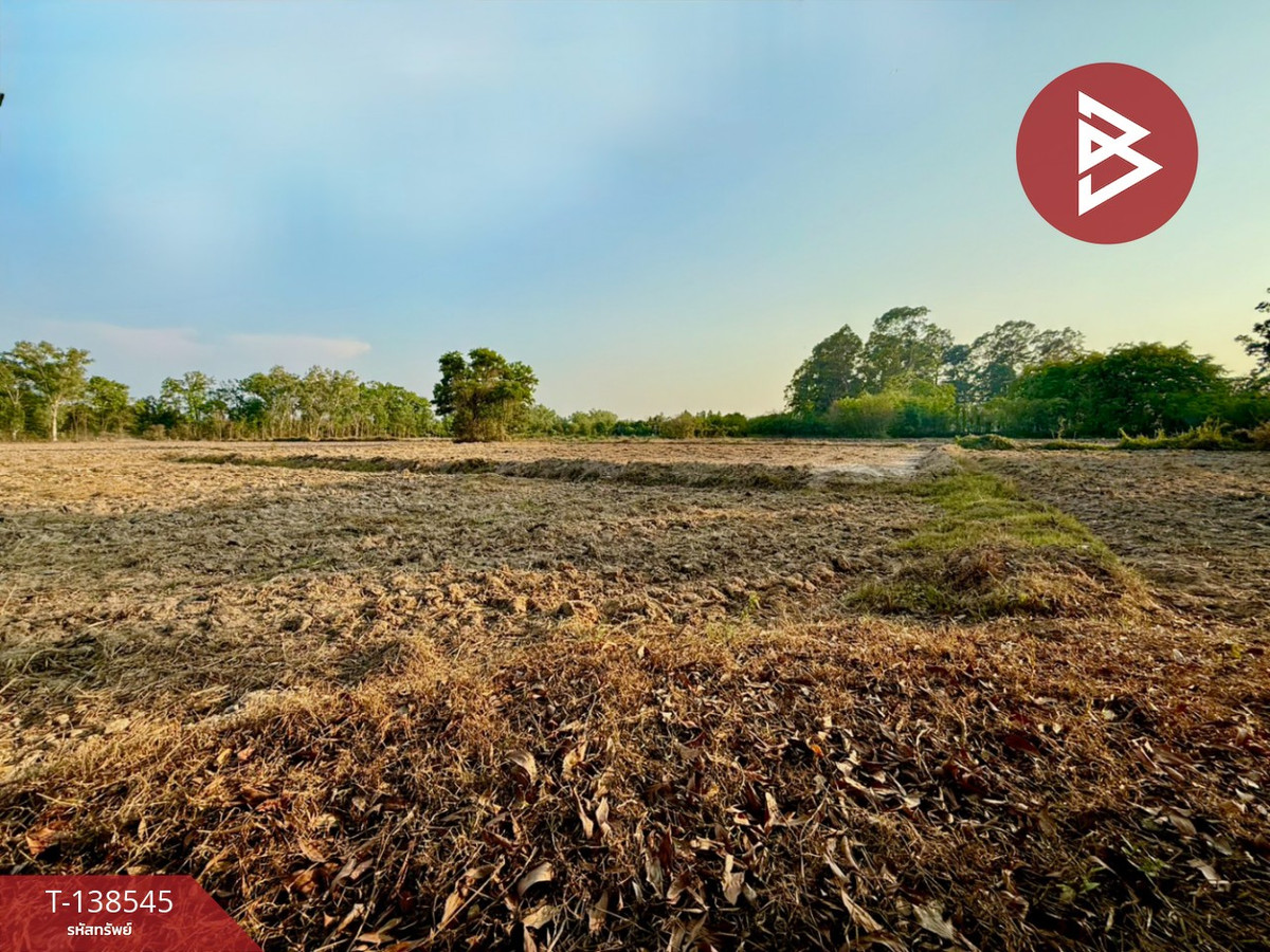 ขายที่ดิน เนื้อที่ 7 ไร่ 1 งาน 33 ตร.วา ปากพลี นครนายก