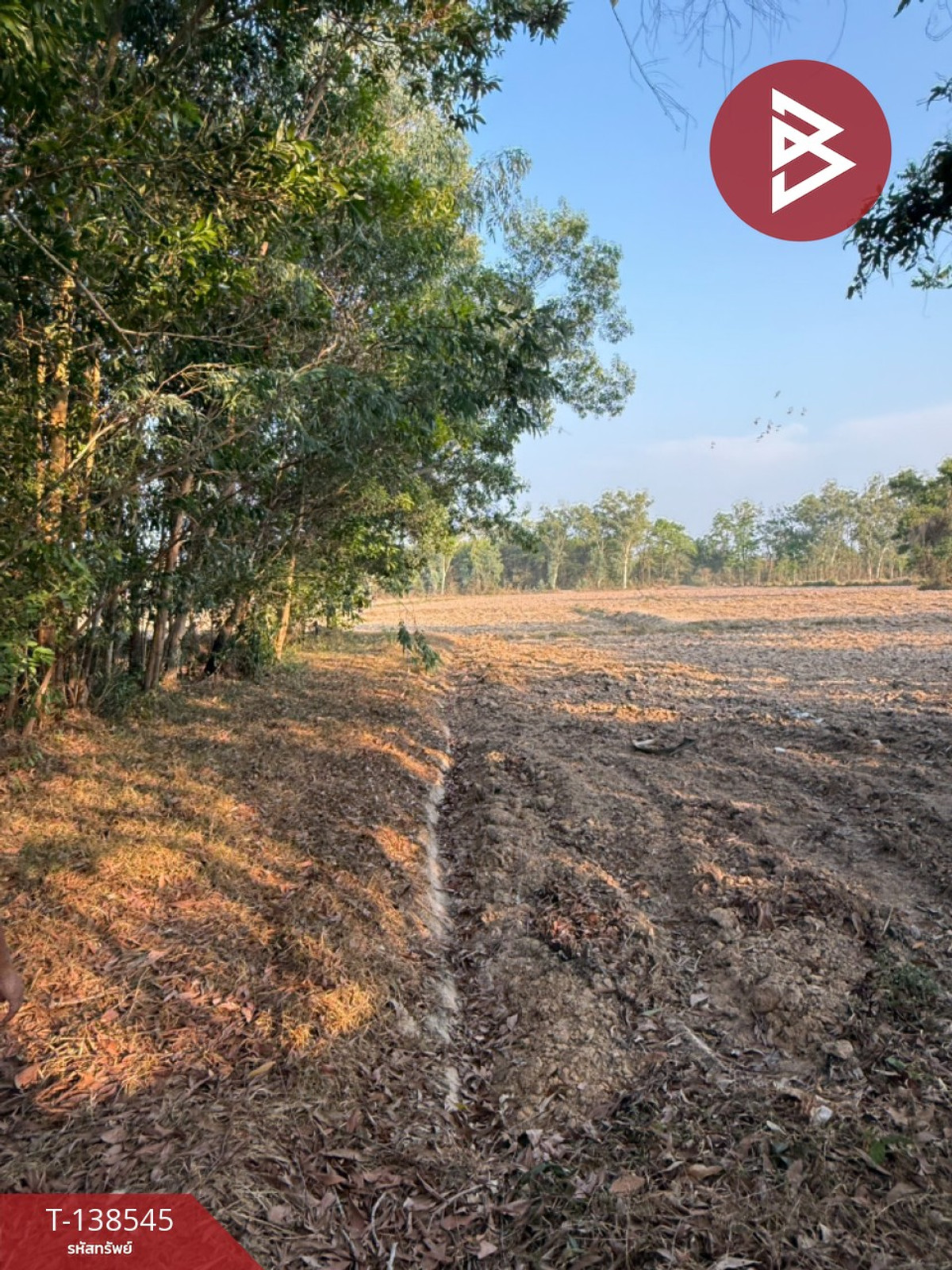 ขายที่ดิน เนื้อที่ 7 ไร่ 1 งาน 33 ตร.วา ปากพลี นครนายก