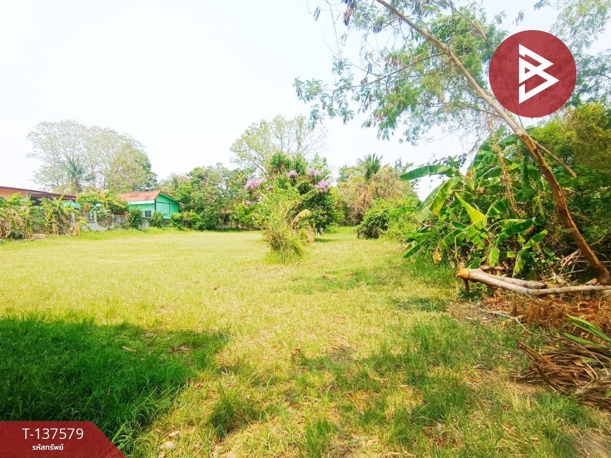 ขายที่ดิน เนื้อที่ 385 ตร.วา พังโคน สกลนคร