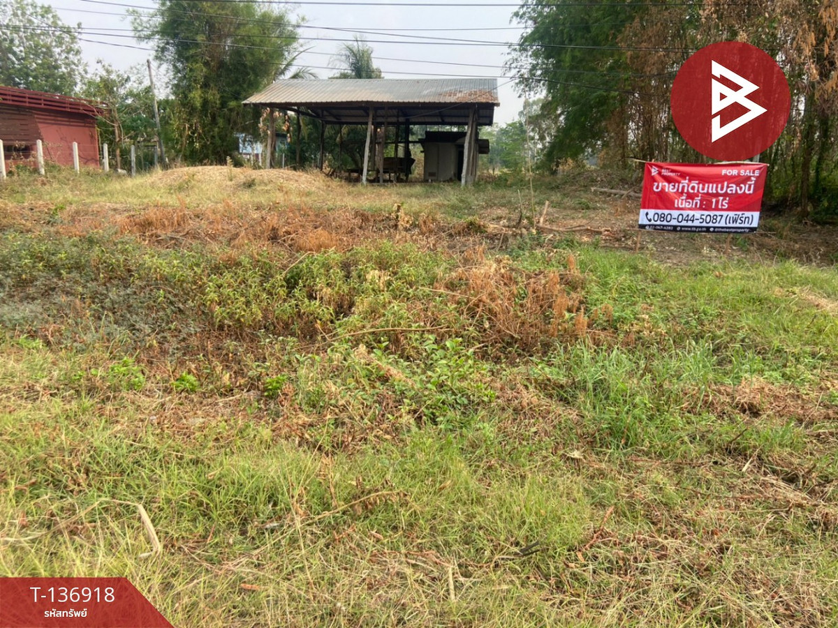 ขายที่ดิน เนื้อที่ 1 ไร่ หนองบัว นครสวรรค์