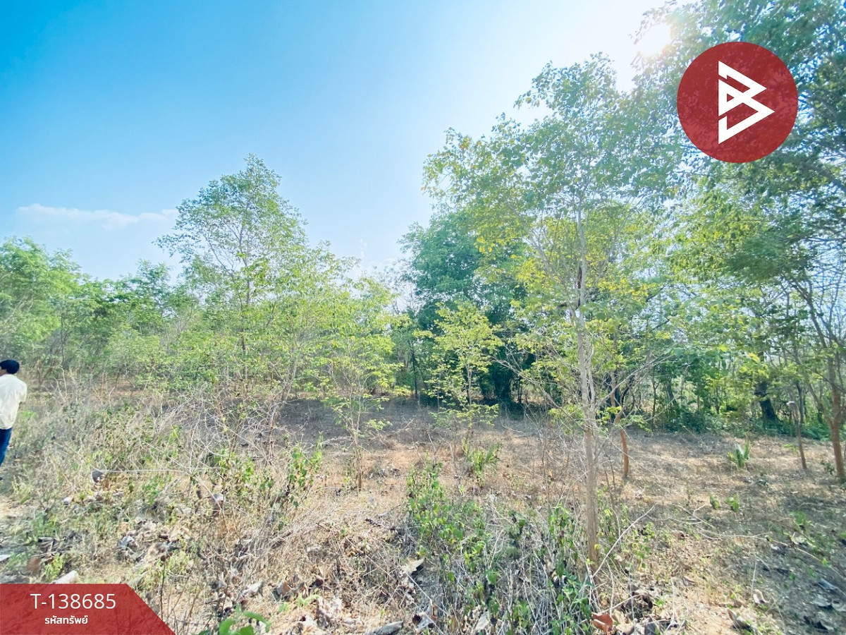 ขายที่ดิน เนื้อที่ 14 ไร่ 22 ตร.วา อ.แก่งกระจาน เพชรบุรี ทำเลดีติดถนน