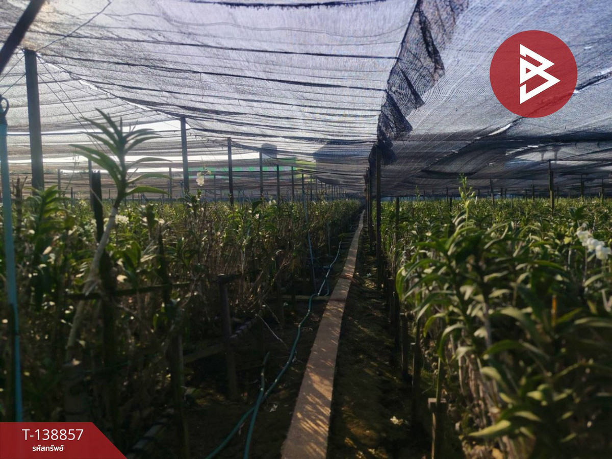 ขายที่ดิน เนื้อที่ 2 ไร่ 3 งาน 7 ตร.วา สามพราน นครปฐม