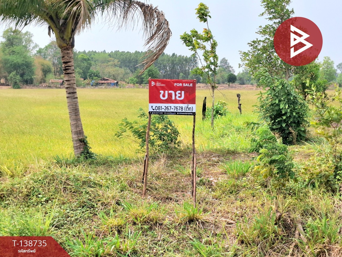 ขายที่ดิน เนื้อที่ 7 ไร่ 2 งาน 40 ตร.วา จังหาร ร้อยเอ็ด