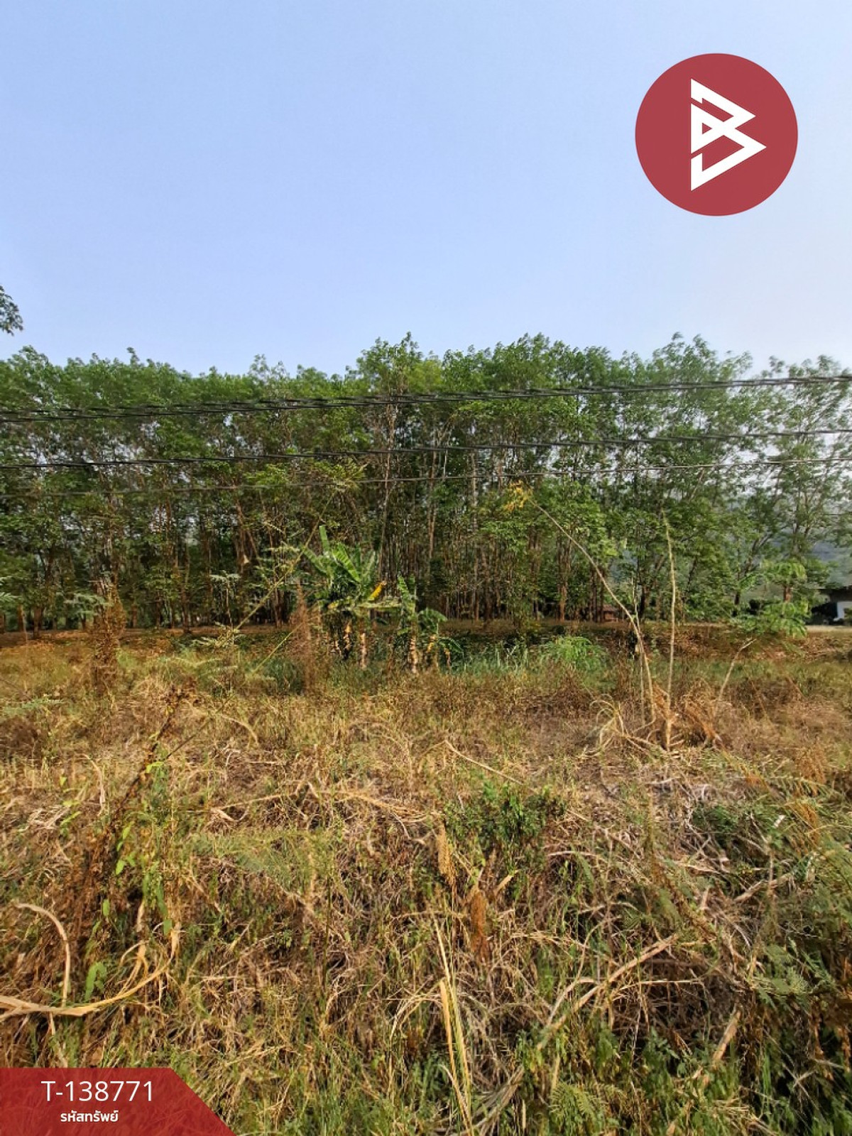 ขายที่ดินสวนยาง เนื้อที่ 3 ไร่ 1 งาน 60 ตร.วา ขุนตาล เชียงราย ทำเลดีติดถนน