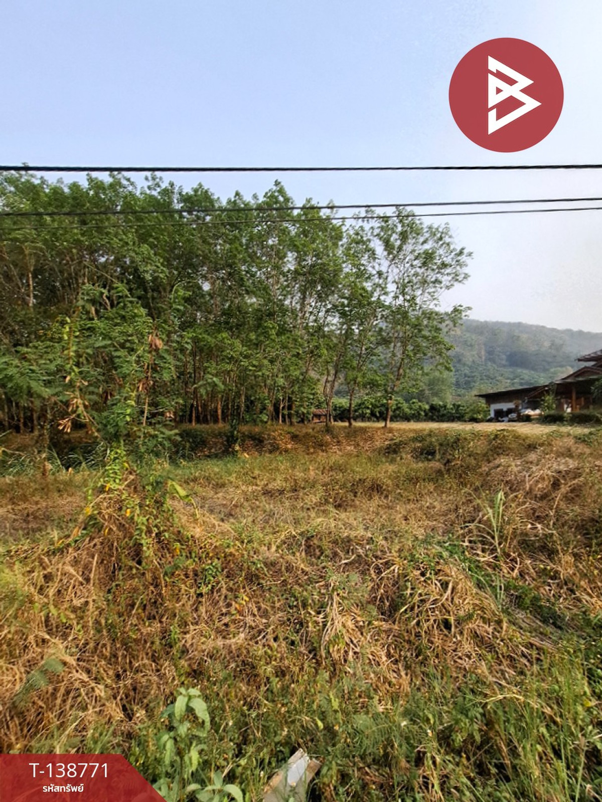 ขายที่ดินสวนยาง เนื้อที่ 3 ไร่ 1 งาน 60 ตร.วา ขุนตาล เชียงราย ทำเลดีติดถนน