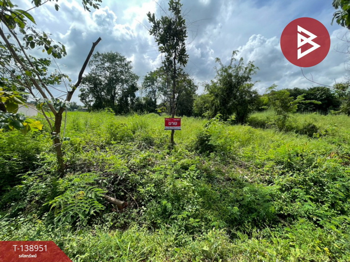 ขายที่ดิน เนื้อที่ 1 ไร่ 54 ตร.วา นาฝาย ชัยภูมิ