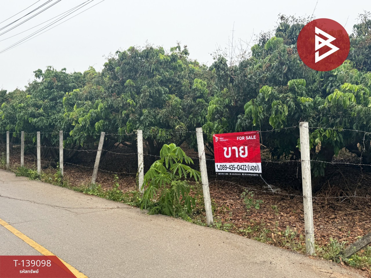 ขายที่ดินสวนลำไย เนื้อที่ 1 ไร่ 2 งาน 11 ตารางวา เวียงหนองล่อง ลำพูน ทำเลติดถนน