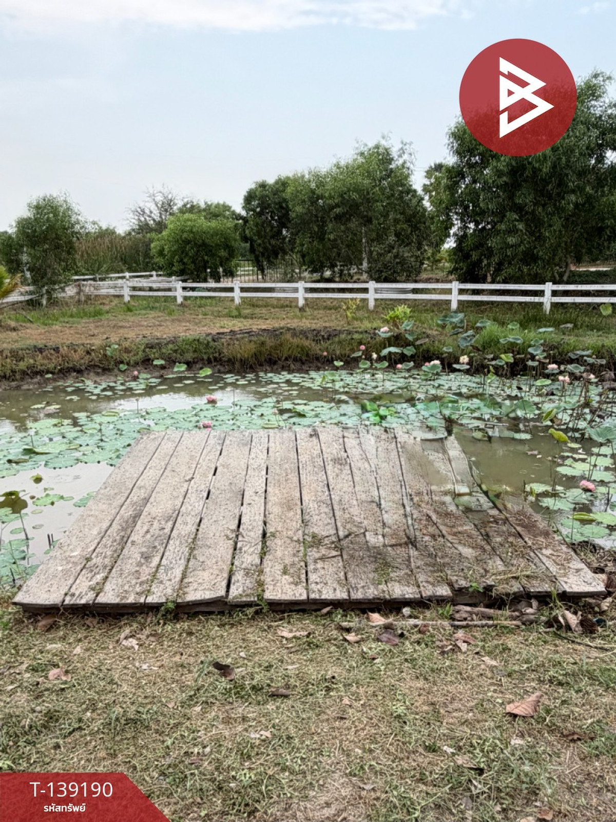 ขายบ้านเดี่ยวพร้อมที่ดิน เนื้อที่ 2 ไร่ 1 ตร.วา องครักษ์ นครนายก