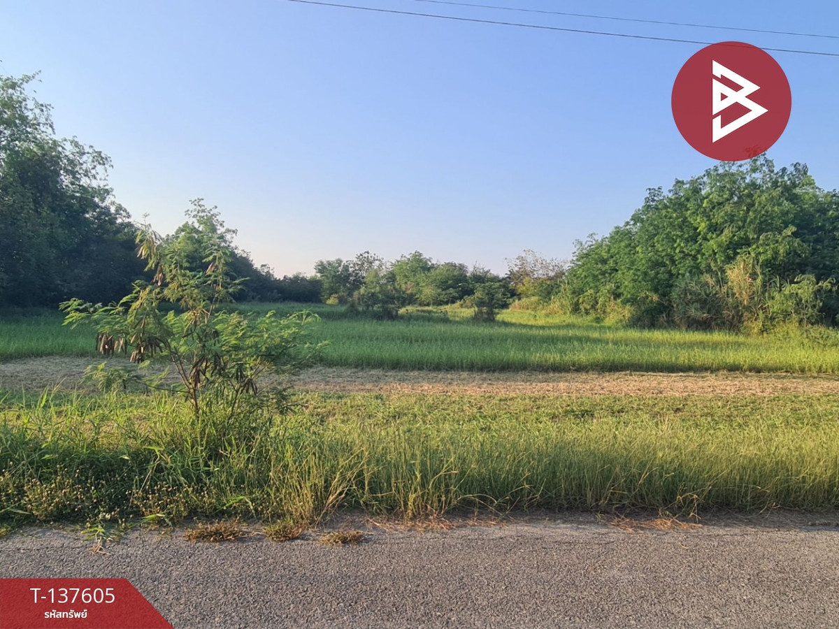 ขายที่ดิน เนื้อที่ 4 ไร่ 3 งาน 17 ตร.วา บ้านโป่ง ราชบุรี