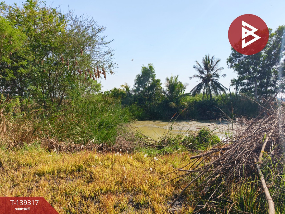 ขายที่ดิน เนื้อที่ 1 ไร่ 3 งาน 49 ตร.วา หนามแดง ฉะเชิงเทรา