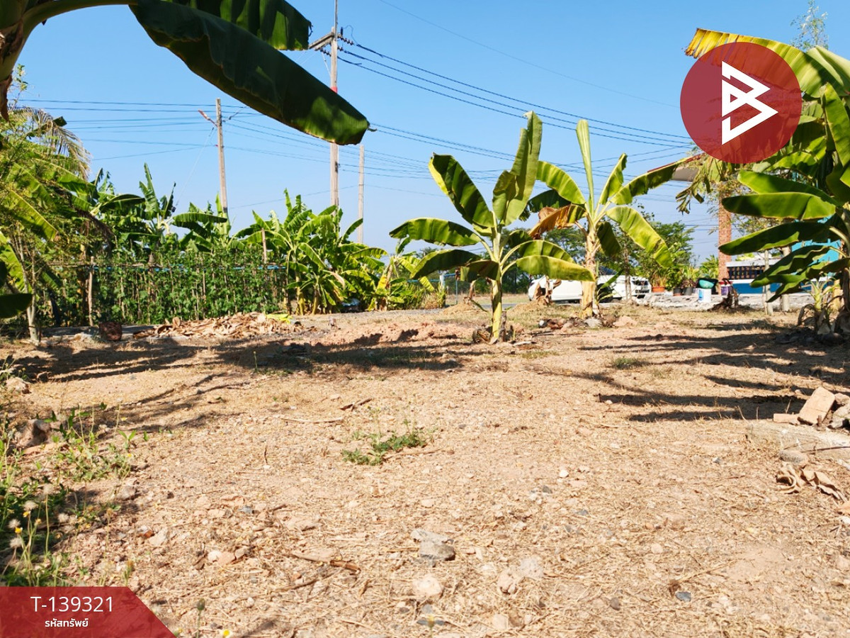 ขายที่ดิน เนื้อที่ 1 งาน 18.3 ตารางวา หนามแดง ฉะเชิงเทรา