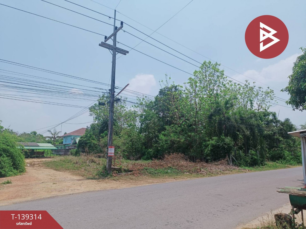 ขายที่ดิน เนื้อที่ 2 งาน 70 ตร.วา พนมสารคาม ฉะเชิงเทรา