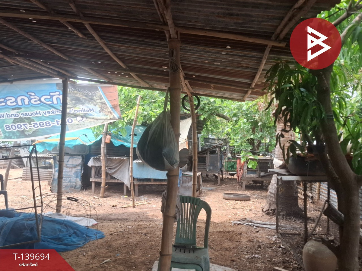 ขายที่ดิน เนื้อที่ 1 งาน 60 ตร.วา เหนือเมือง ร้อยเอ็ด