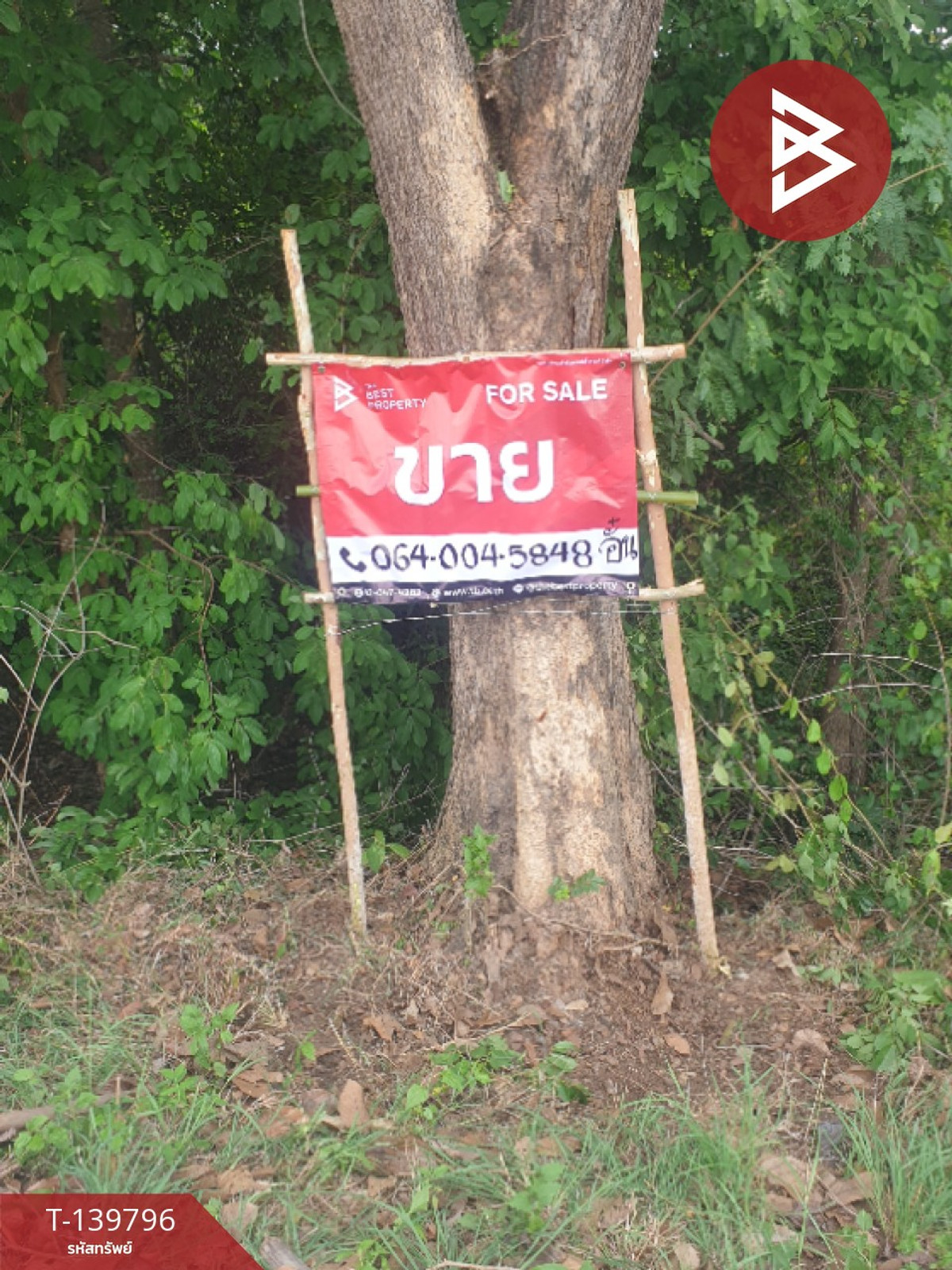 ขายที่ดิน เนื้อที่ 10 ไร่ 1 งาน 57 ตร.วา คำเตย นครพนม