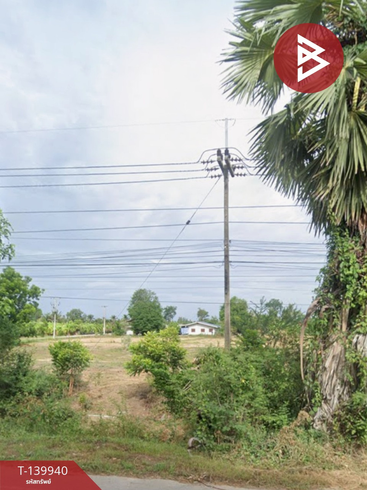 ขายที่ดิน เนื้อที่ 12 ไร่ 20 ตร.วา ท่ายาง เพชรบุรี