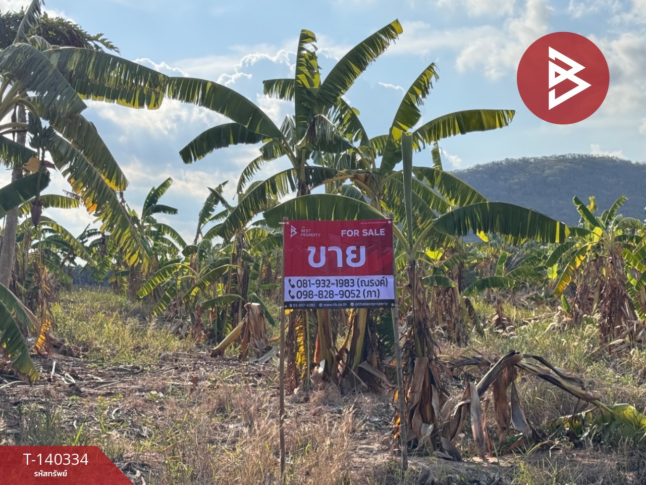 ขายที่ดิน เนื้อที่ 4 ไร่ 3 งาน 49 ตร.วา บ่อนอก ประจวบคีรีขันธ์