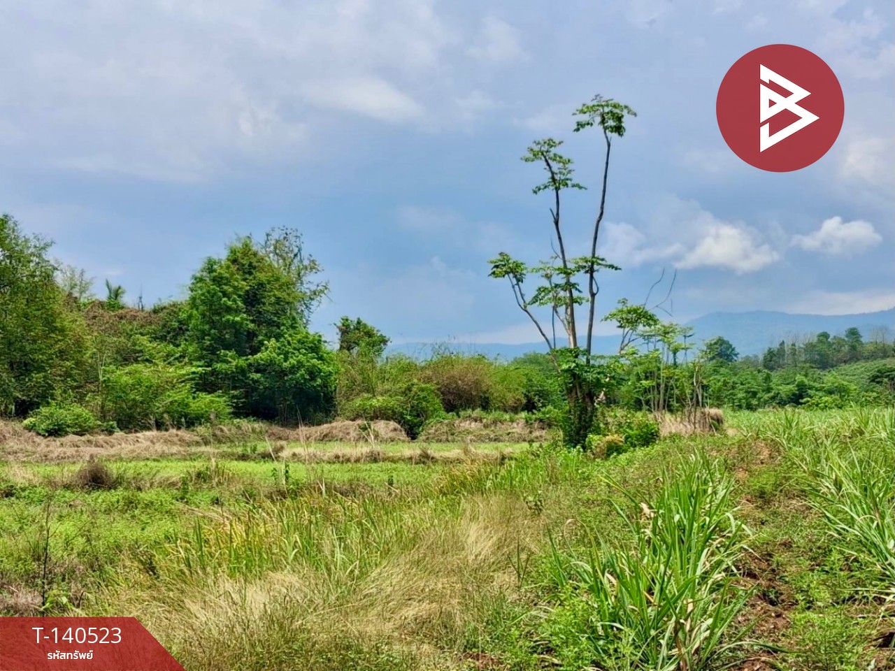ขายที่ดิน เนื้อที่ 6 ไร่ 47.5 ตร.วา ท่าปลา อุตรดิตถ์