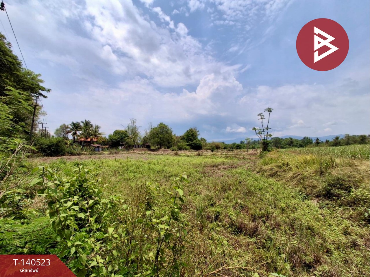 ขายที่ดิน เนื้อที่ 6 ไร่ 47.5 ตร.วา ท่าปลา อุตรดิตถ์