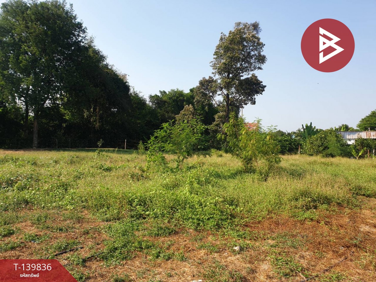 ปล่อยเช่า ที่ดิน เนื้อที่ 3 งาน 88 ตร.วา บางกรวย นนทบุรี