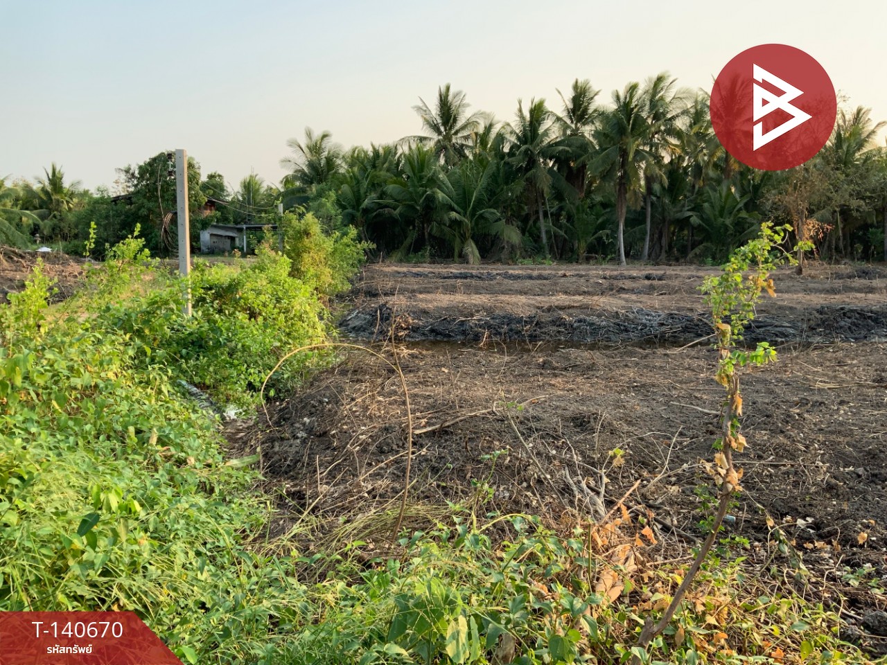 ขายที่ดิน เนื้อที่ 2 ไร่ 3 ตร.วา ลาดใหญ่ สมุทรสงคราม