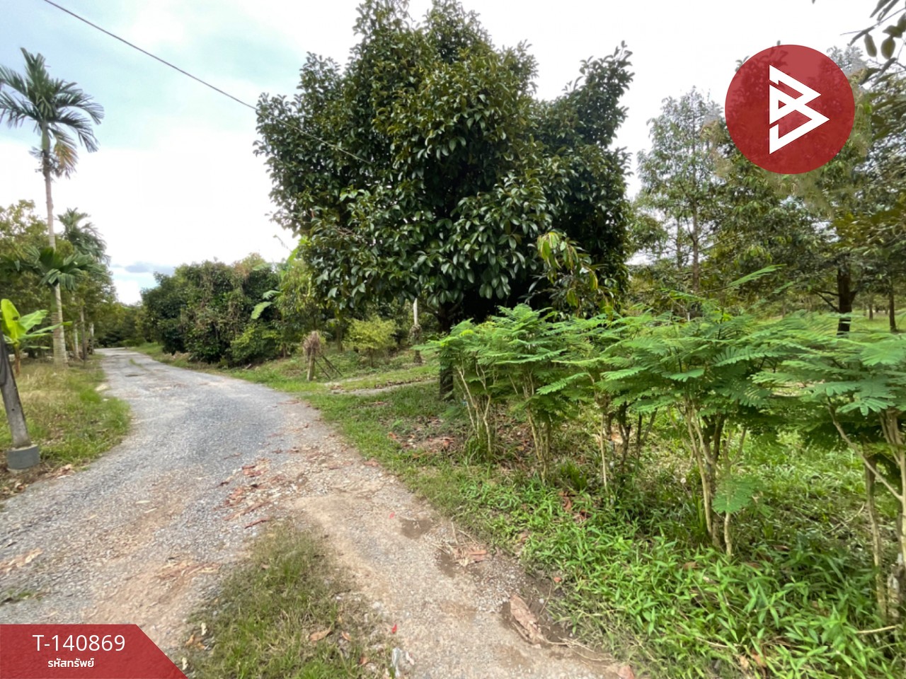 ขายที่ดิน เนื้อที่ 3 ไร่ มะขาม จันทบุรี
