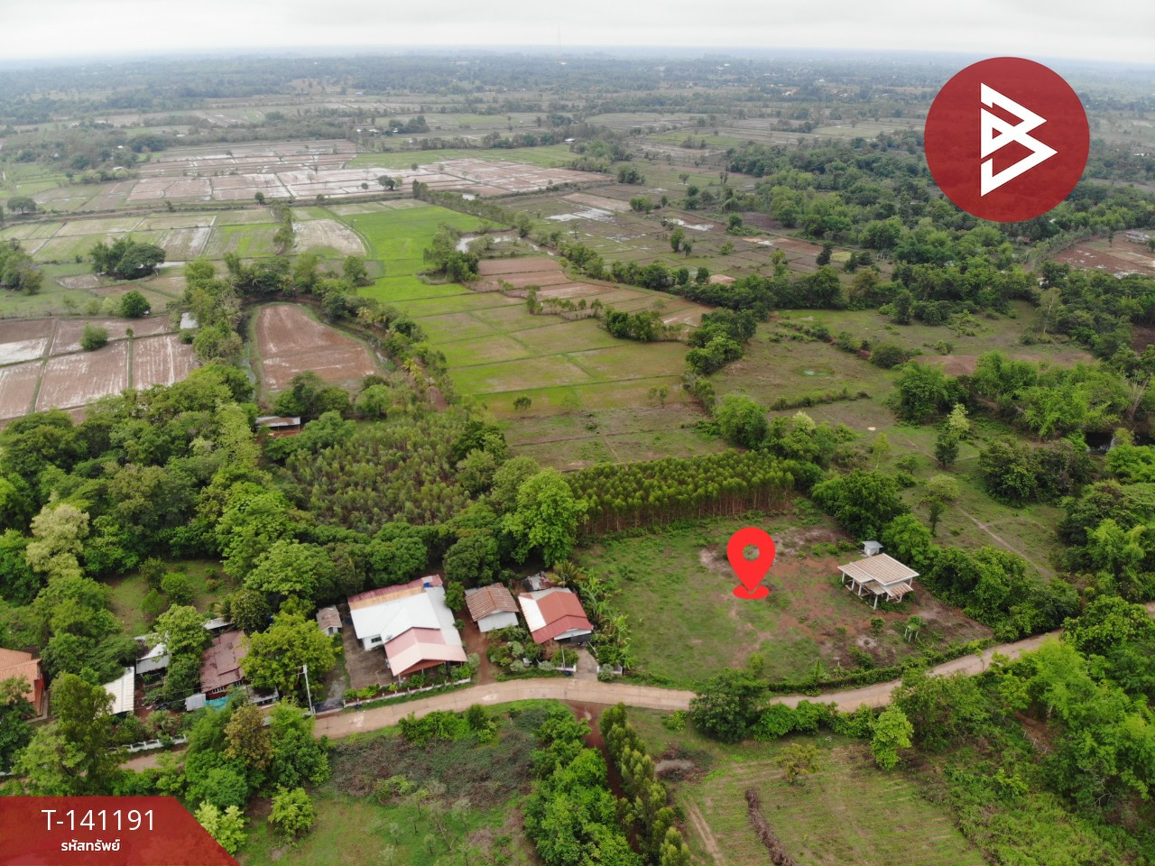 ขายที่ดิน เนื้อที่ 20 ไร่ 1 งาน 60 ตร.วา เพ็ญ อุดรธานี