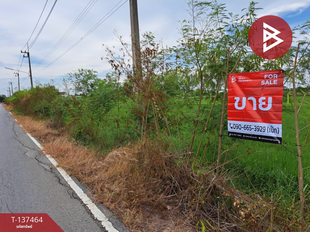 ขายที่ดิน เนื้อที่ 1 งาน 83 ตร.วา พุทธมณฑล นครปฐม