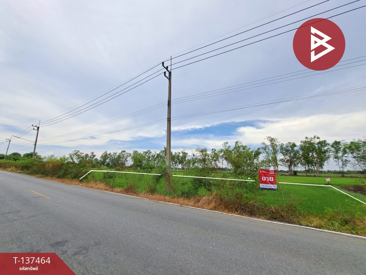 ขายที่ดิน เนื้อที่ 1 งาน 83 ตร.วา พุทธมณฑล นครปฐม