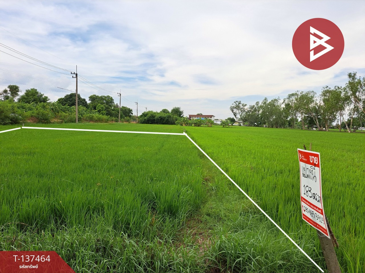 ขายที่ดิน เนื้อที่ 1 งาน 83 ตร.วา พุทธมณฑล นครปฐม