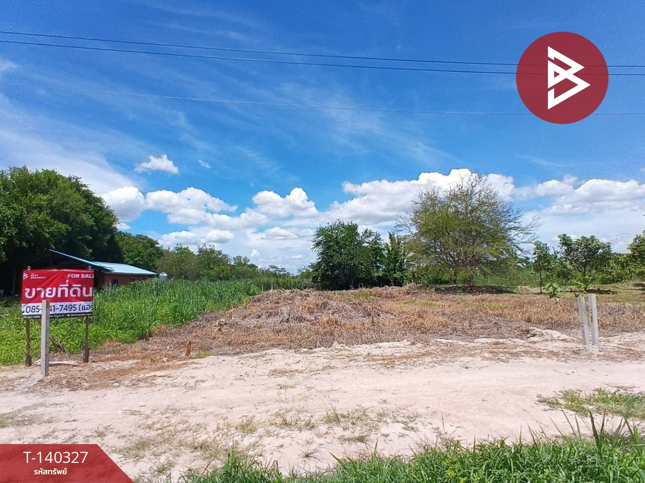 ขายที่ดิน เนื้อที่ 1 งาน บ้านบึง ชลบุรี
