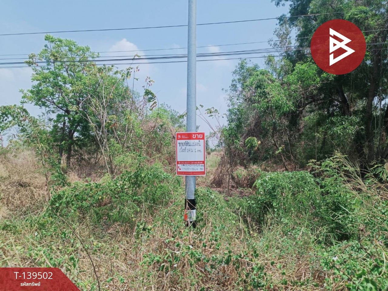 ขายที่ดิน เนื้อที่ 14 ไร่ 61.9 ตร.วา ราชสาส์น ฉะเชิงเทรา