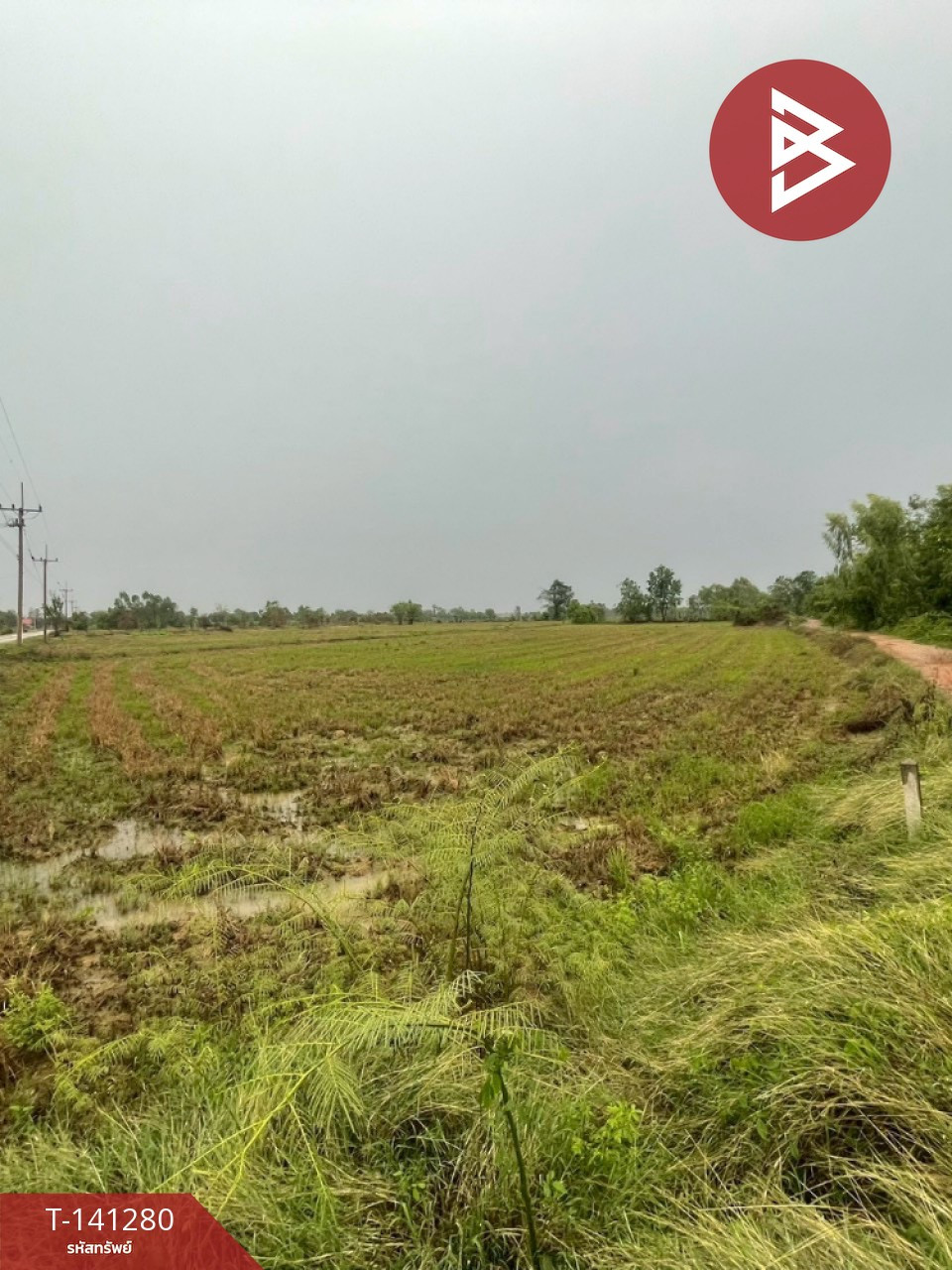 ขายที่ดิน 12 ไร่ 1 งาน 76.1 ตร.วา ขาณุวรลักษบุรี กำแพงเพชร