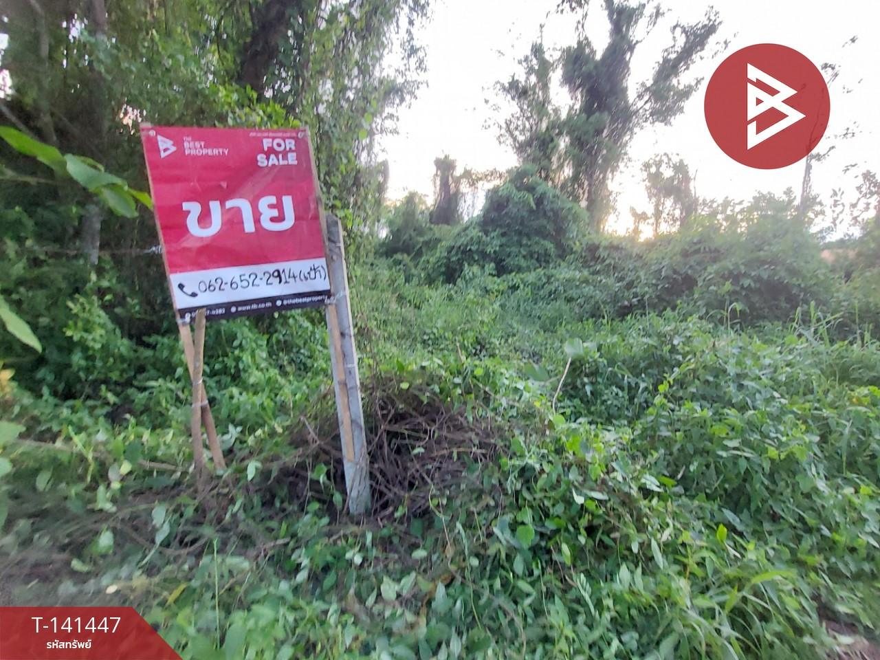 ขายที่ดิน เนื้อที่ 1 งาน 17 ตร.วา โพนพิสัย หนองคาย