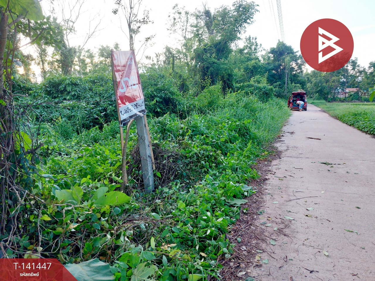 ขายที่ดิน เนื้อที่ 1 งาน 17 ตร.วา โพนพิสัย หนองคาย