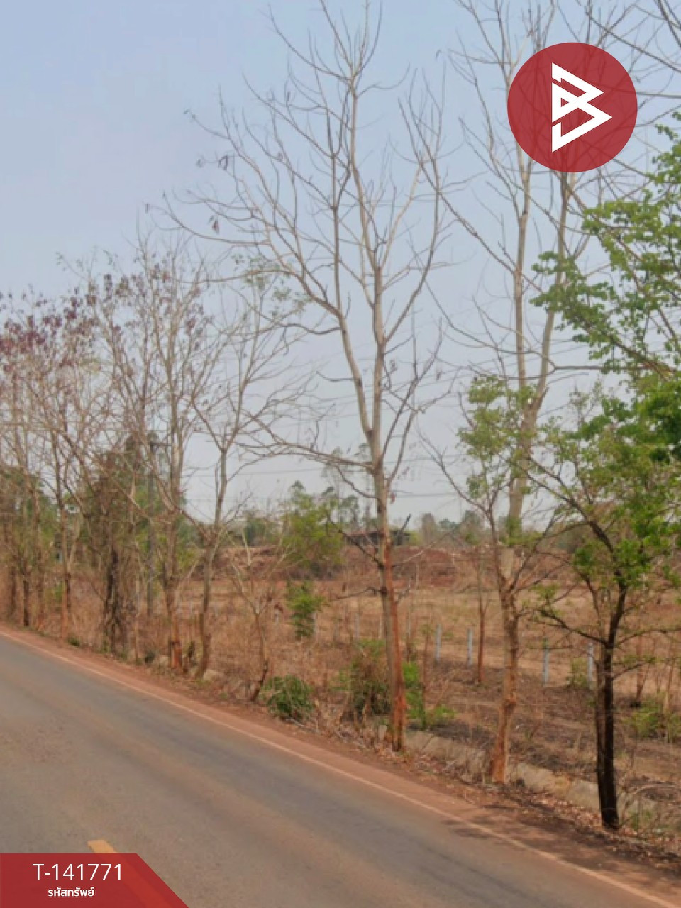 ขายที่ดิน เนื้อที่ 24 ไร่ 1 งาน 7 ตร.วา โพนสวรรค์ นครพนม