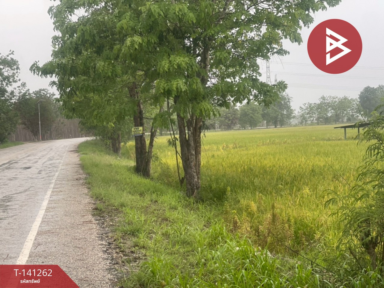 ขายที่ดิน เนื้อที่ 22 ไร่ 7 ตร.วา ขาณุวรลักษบุรี กำแพงเพชร