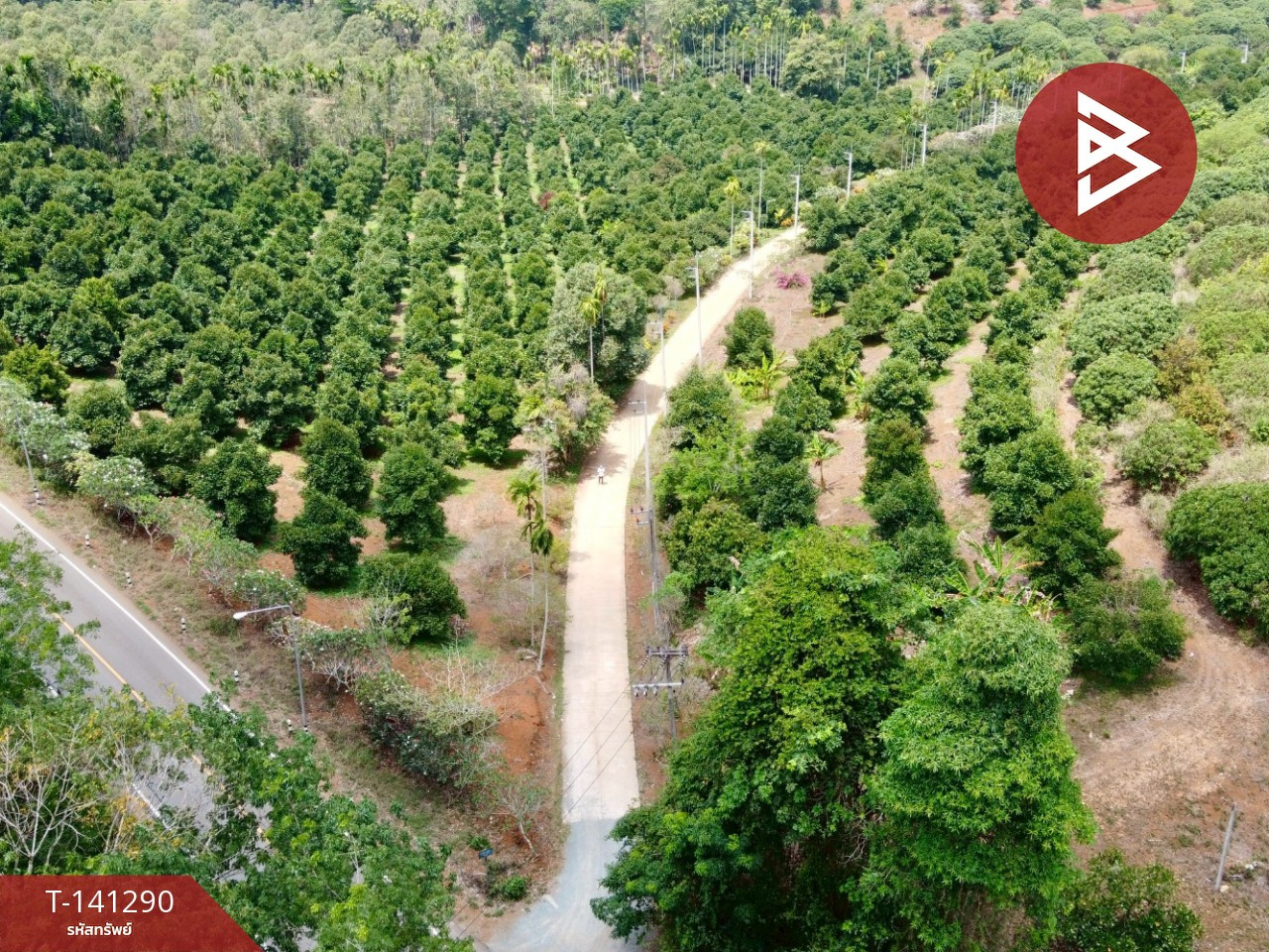 ขายที่ดิน เนื้อที่ 98 ไร่ 2 งาน 62.3 ตร.วา สวนลไม้ผสม ตกพรม เมือง จันทบุรี