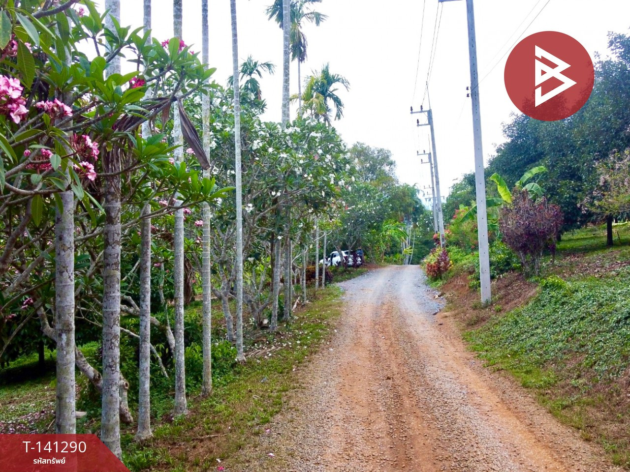 ขายที่ดิน เนื้อที่ 98 ไร่ 2 งาน 62.3 ตร.วา สวนลไม้ผสม ตกพรม เมือง จันทบุรี