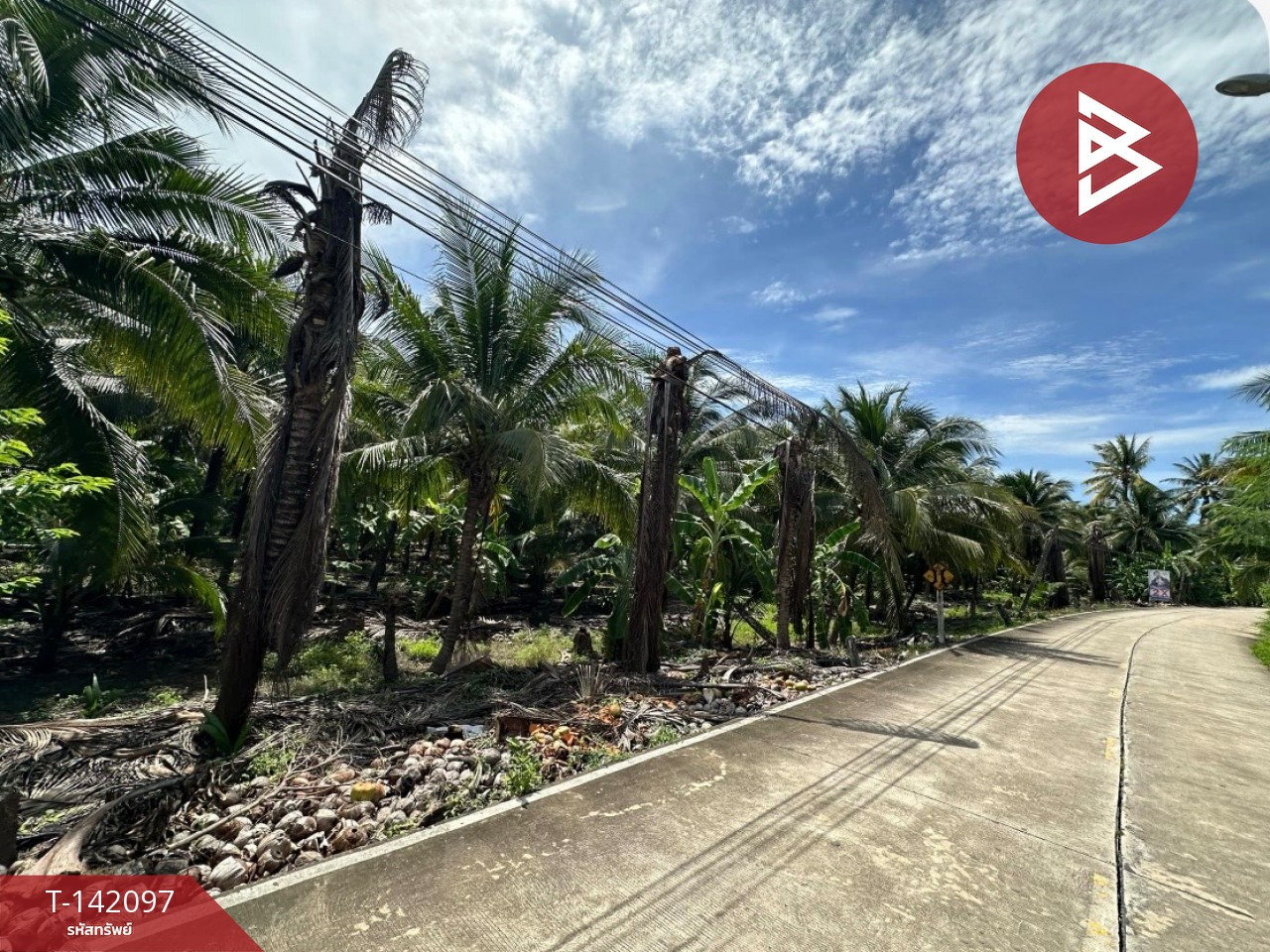 ขายที่ดิน เนื้อที่ 6 ไร่ 3 งาน 2 ตร.วา คุ้งน้ำวน ราชบุรี