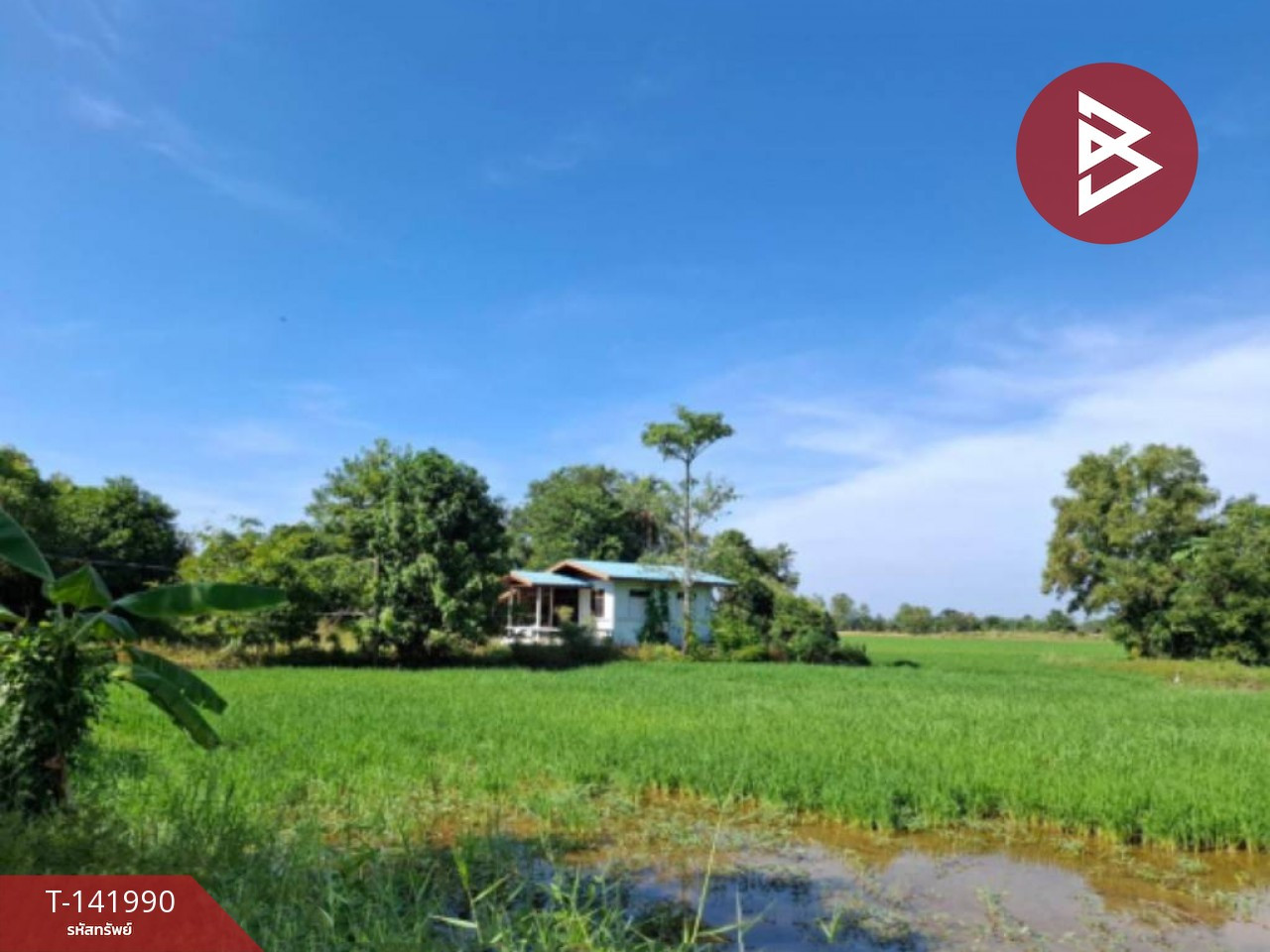 ขายที่ดิน เนื้อที่  3 ไร่ 3 งาน 67.5 ตร.วา สาริกา นครนายก