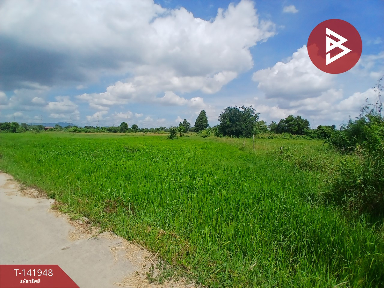 ขายที่ดิน เนื้อที่ 5 ไร่ พนัสนิคม ชลบุรี