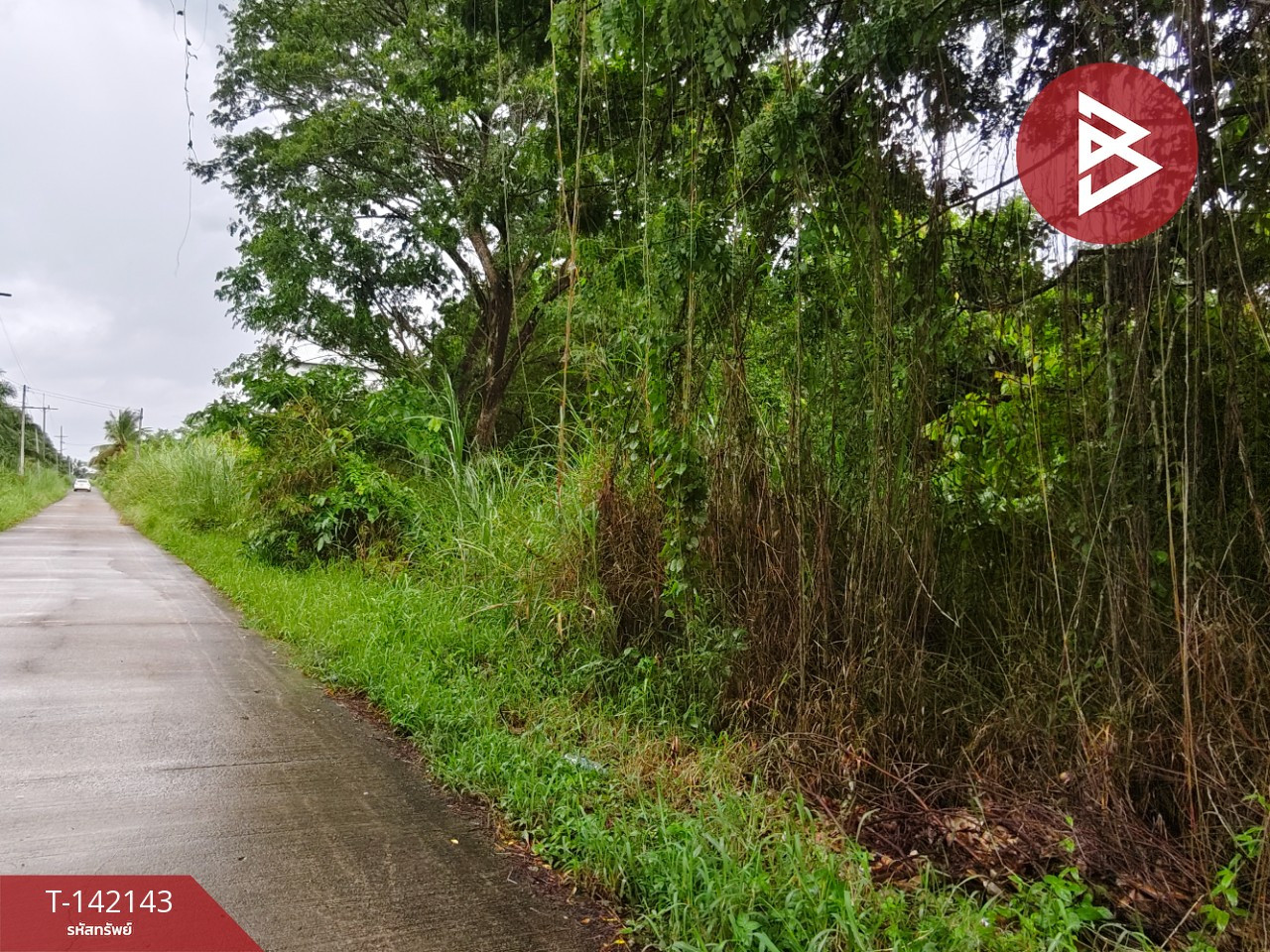 ขายที่ดิน เนื้อที่ 1 งาน 44.1 ตร.วา ท่าซัก นครศรีธรรมราช