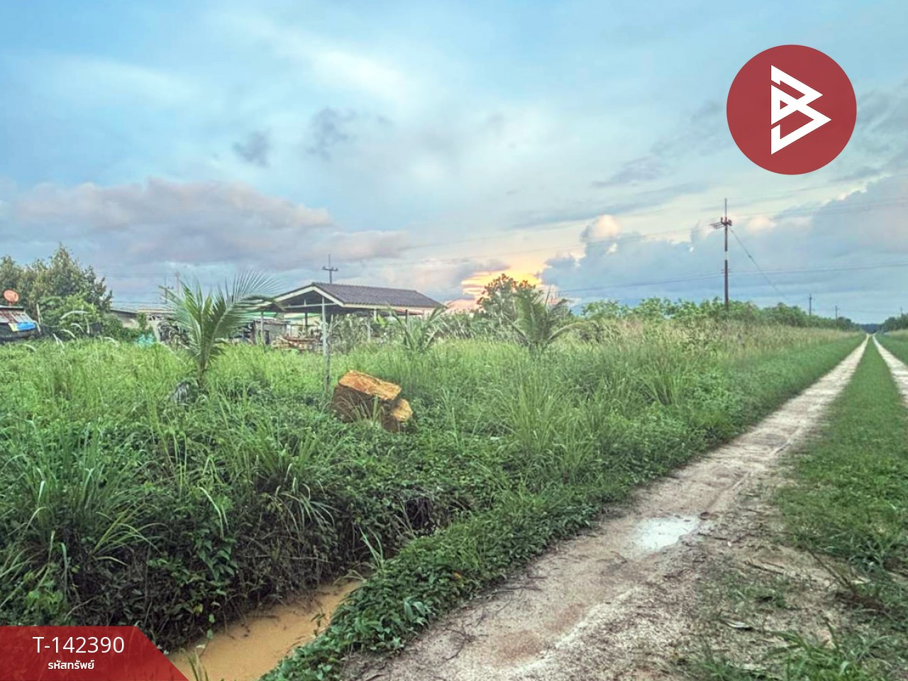 ขายที่ดิน เนื้อที่ 1 งาน 48.8 ตร.วา มะขาม จันทบุรี