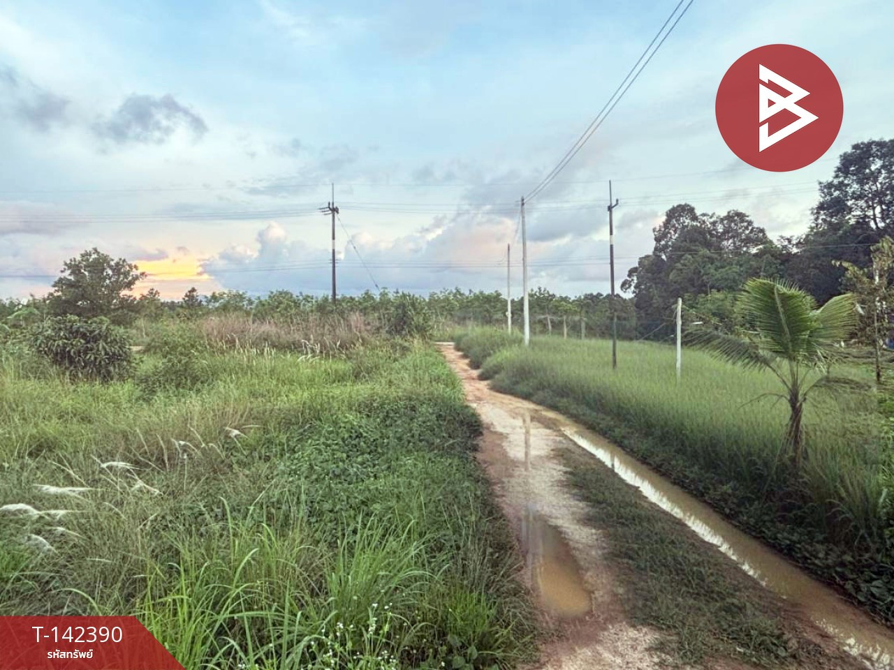 ขายที่ดิน เนื้อที่ 1 งาน 48.8 ตร.วา มะขาม จันทบุรี