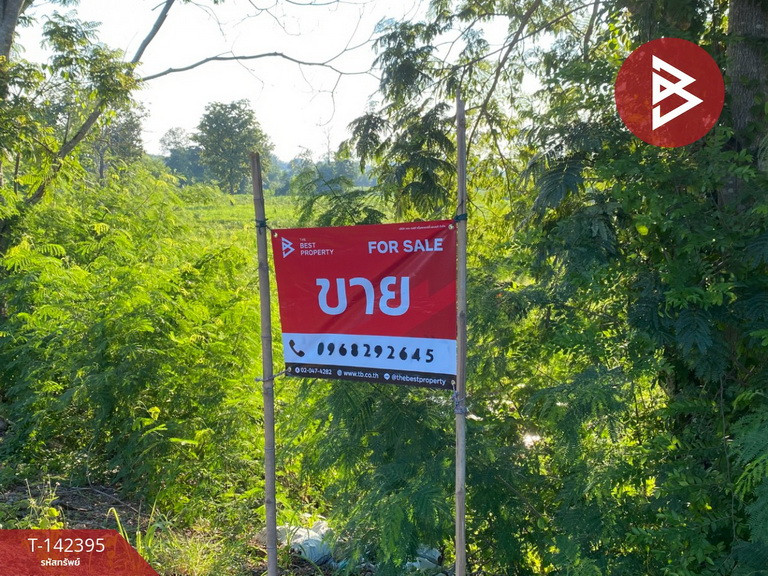 ขายที่ดินเปล่า เนื้อที่ 15 ไร่ 2 งาน 5 ตร.วา บ้านผือ อุดรธานี