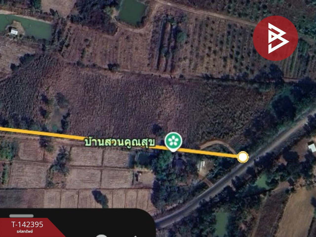 ขายที่ดินเปล่า เนื้อที่ 15 ไร่ 2 งาน 5 ตร.วา บ้านผือ อุดรธานี
