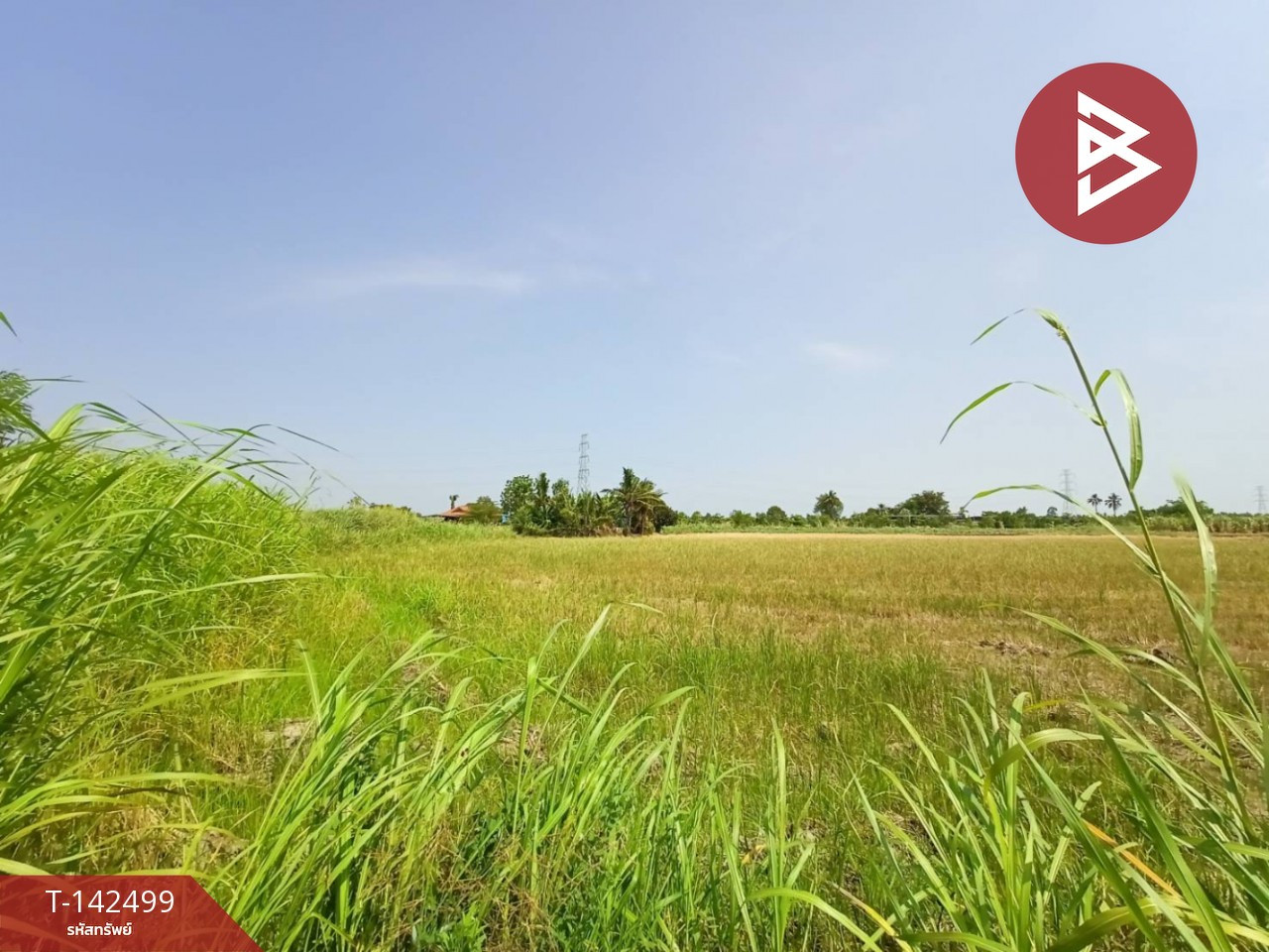 ขายที่ดิน เนื้อที่ 2 ไร่ 2 งาน 99.2 ตร.วา บ้านมะเกลือ นครสวรรค์